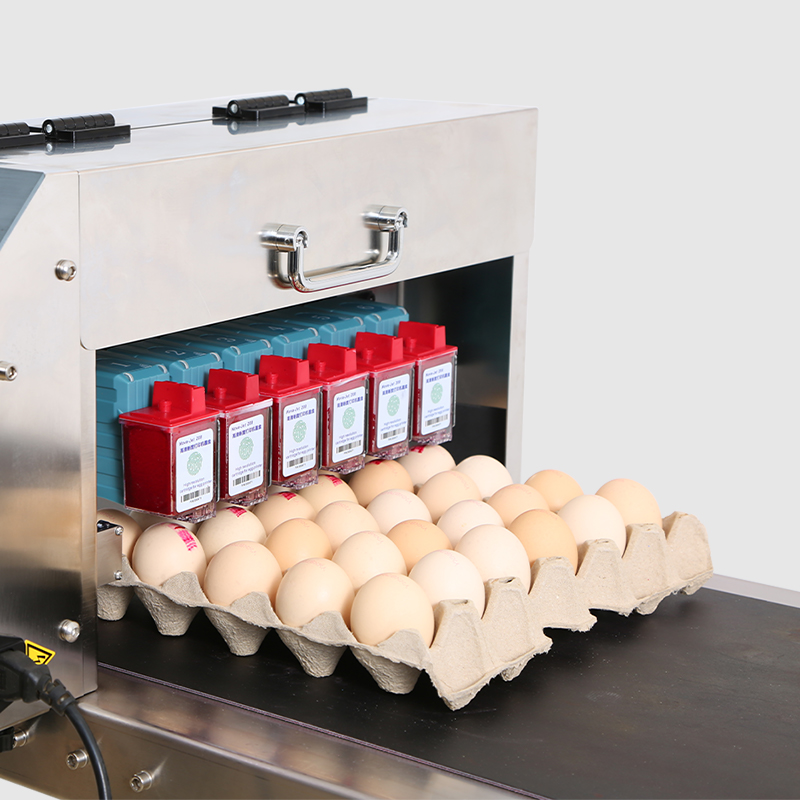 Impresoras de inyección de tinta para huevos de Six Heads Industry con sello de fecha de caducidad