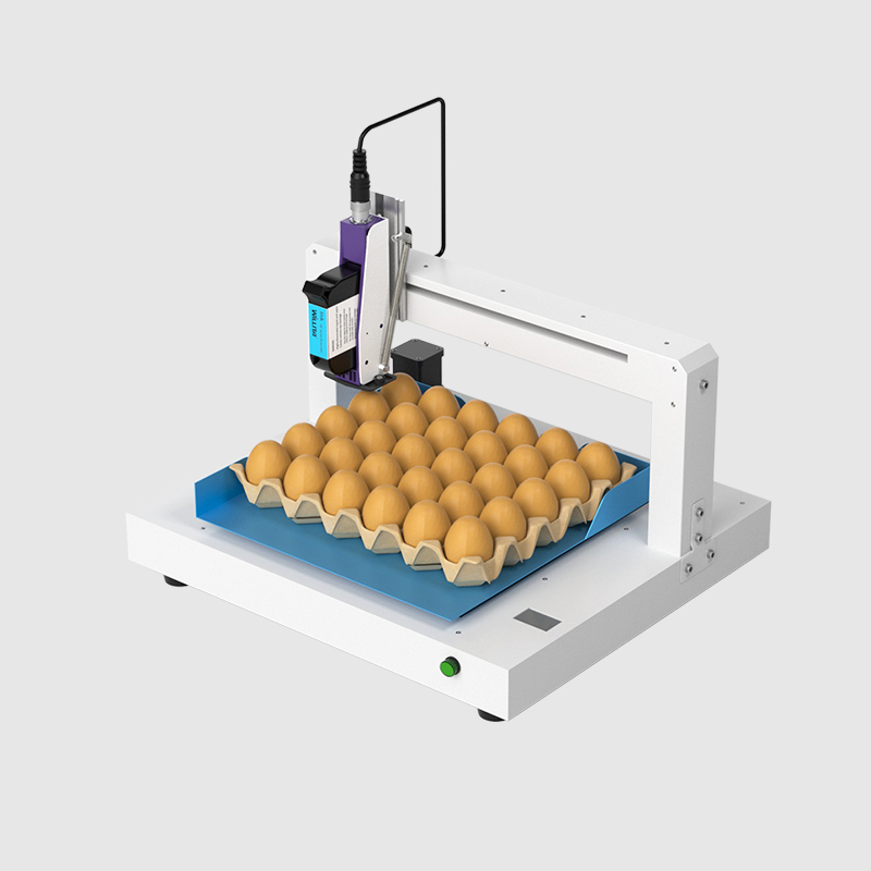 WLD-E1 Single Head Automatic Egg Inkjet Printer (APP Version)