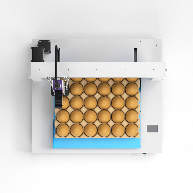 WLD-E1 Single Head Automatic Egg Inkjet Printer (APP Version)
