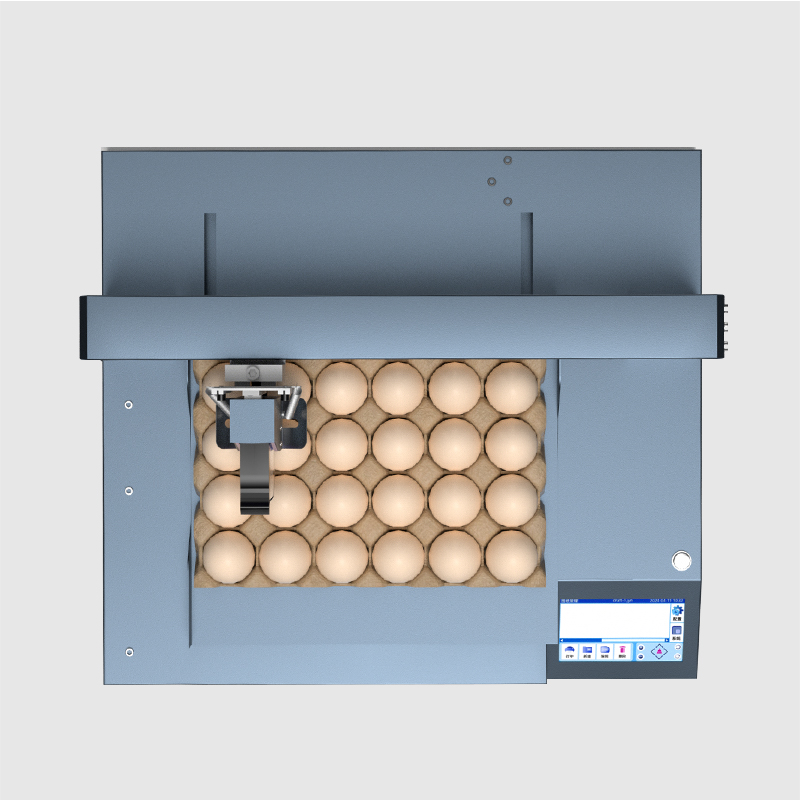 WLD-E2 Single Head Automatic Egg Inkjet Printer (Screen Version)