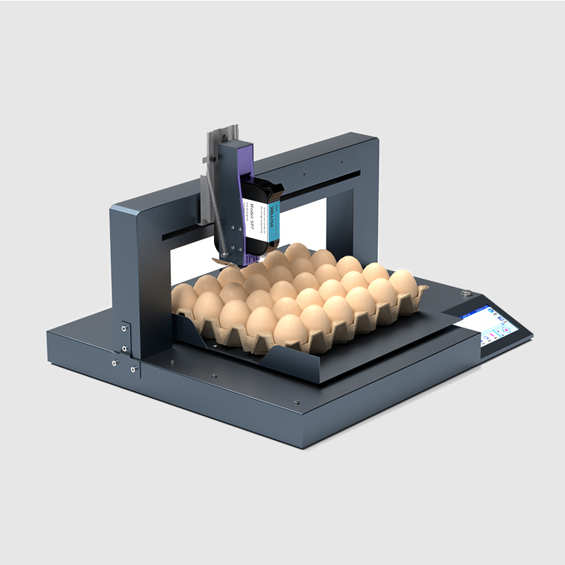 WLD-E2 Single Head Automatic Egg Inkjet Printer (Screen Version)