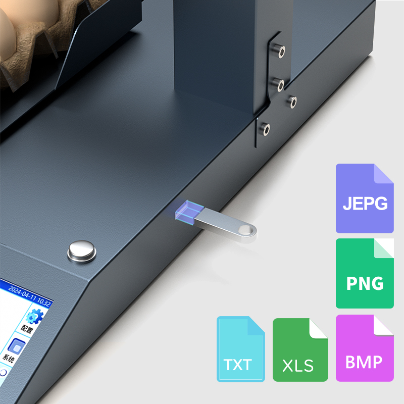 WLD-E2 Single Head Automatic Egg Inkjet Printer (Screen Version)